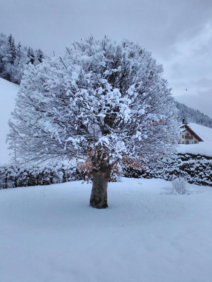 Haus Kieler Apartment Schladming Exterior foto